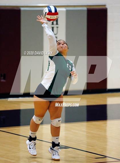 Thumbnail 3 in Basha @ Hamilton photogallery.
