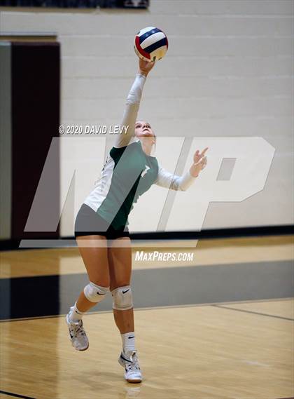 Thumbnail 3 in Basha @ Hamilton photogallery.
