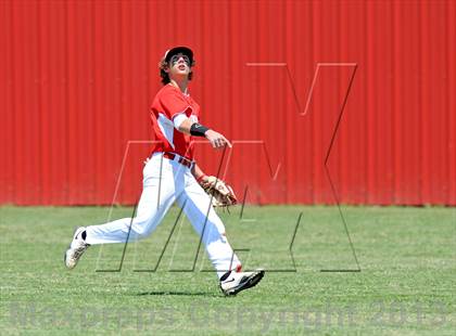 Thumbnail 1 in Pottsboro @ Trenton photogallery.