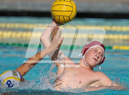 Thumbnail 1 in El Toro @ Esperanza photogallery.