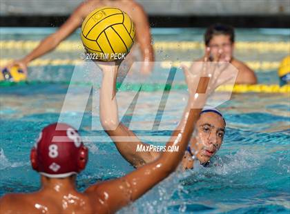 Thumbnail 3 in El Toro @ Esperanza photogallery.