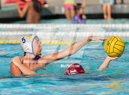 Thumbnail 1 in El Toro @ Esperanza photogallery.