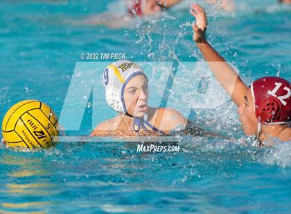 Thumbnail 2 in El Toro @ Esperanza photogallery.