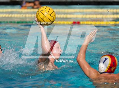 Thumbnail 2 in El Toro @ Esperanza photogallery.