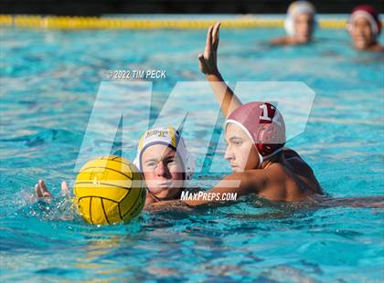 Thumbnail 1 in El Toro @ Esperanza photogallery.