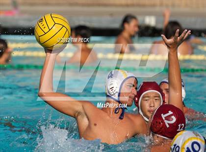 Thumbnail 1 in El Toro @ Esperanza photogallery.