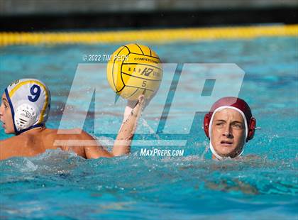 Thumbnail 1 in El Toro @ Esperanza photogallery.
