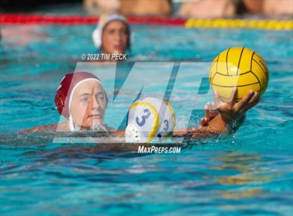 Thumbnail 2 in El Toro @ Esperanza photogallery.