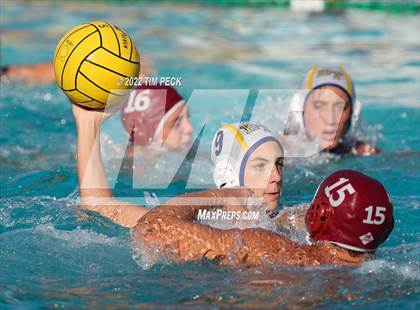 Thumbnail 1 in El Toro @ Esperanza photogallery.