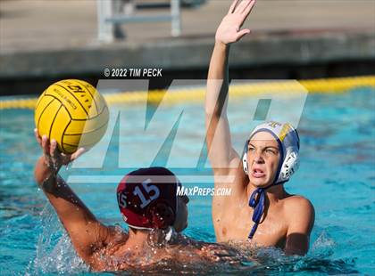 Thumbnail 2 in El Toro @ Esperanza photogallery.