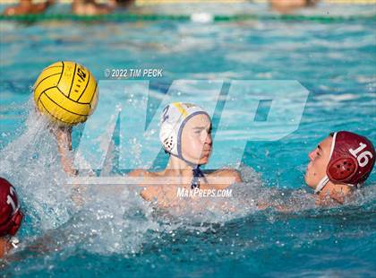 Thumbnail 3 in El Toro @ Esperanza photogallery.