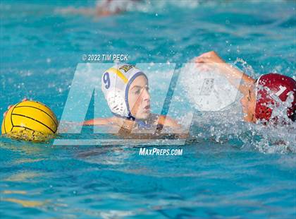 Thumbnail 3 in El Toro @ Esperanza photogallery.