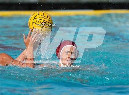 Thumbnail 2 in El Toro @ Esperanza photogallery.