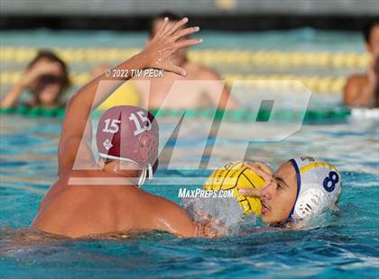 Thumbnail 3 in El Toro @ Esperanza photogallery.