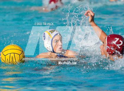 Thumbnail 1 in El Toro @ Esperanza photogallery.