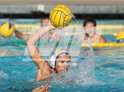 Thumbnail 1 in El Toro @ Esperanza photogallery.