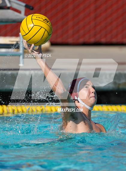 Thumbnail 1 in El Toro @ Esperanza photogallery.