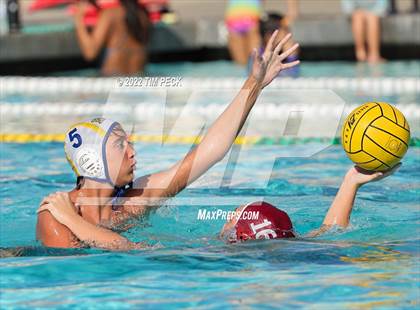 Thumbnail 3 in El Toro @ Esperanza photogallery.