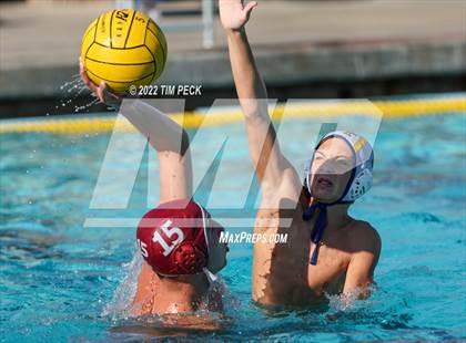 Thumbnail 1 in El Toro @ Esperanza photogallery.