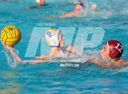 Thumbnail 1 in El Toro @ Esperanza photogallery.
