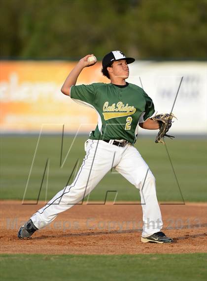 Thumbnail 3 in Oak Ridge @ Timber Creek photogallery.