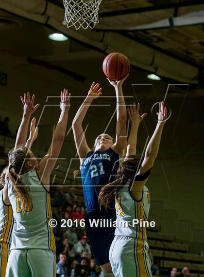 Thumbnail 1 in South Seneca vs. Pine Plains (NYSPHSAA Class C Final) photogallery.