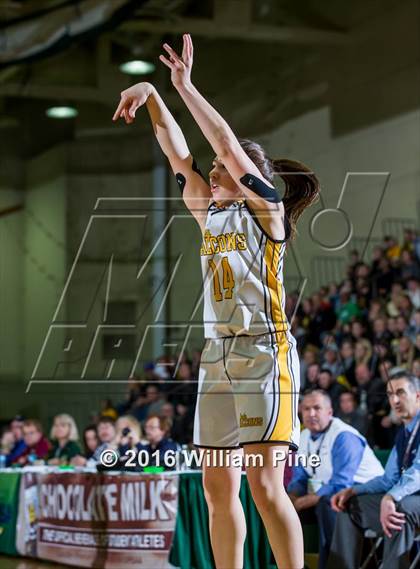 Thumbnail 1 in South Seneca vs. Pine Plains (NYSPHSAA Class C Final) photogallery.