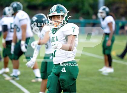 Thumbnail 1 in 'Aiea @ Woodinville photogallery.