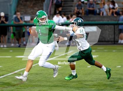Thumbnail 1 in 'Aiea @ Woodinville photogallery.