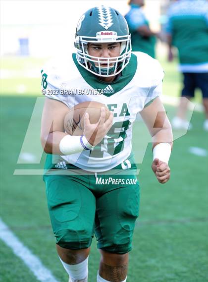 Thumbnail 1 in 'Aiea @ Woodinville photogallery.