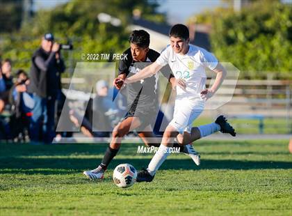 Thumbnail 1 in Kennedy @ Pacifica photogallery.