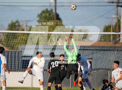 Thumbnail 2 in Kennedy @ Pacifica photogallery.