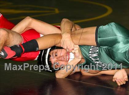 Thumbnail 1 in Gray/Fitzgerald Holiday Tournament @ Sayville photogallery.