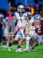 Photo from the gallery "Timnath @ Wellington"