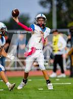Photo from the gallery "Timnath @ Wellington"