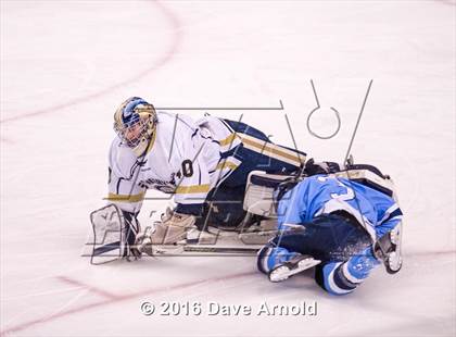 Thumbnail 3 in Franklin vs St. Mary's (MIAA Division 1 Final) photogallery.