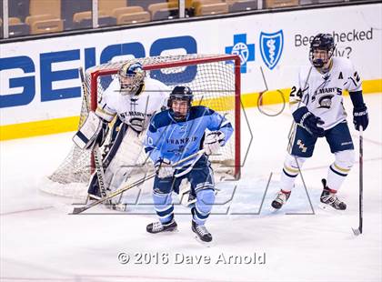 Thumbnail 1 in Franklin vs St. Mary's (MIAA Division 1 Final) photogallery.