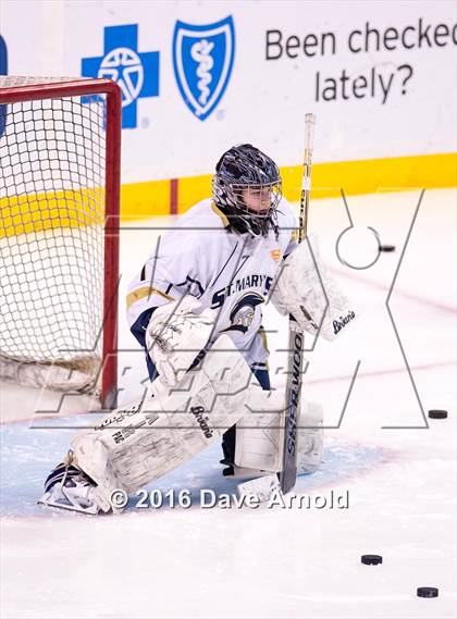 Thumbnail 2 in Franklin vs St. Mary's (MIAA Division 1 Final) photogallery.