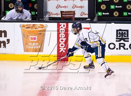 Thumbnail 1 in Franklin vs St. Mary's (MIAA Division 1 Final) photogallery.