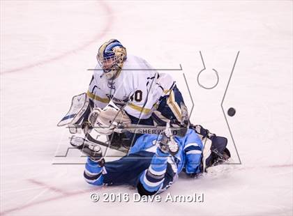 Thumbnail 2 in Franklin vs St. Mary's (MIAA Division 1 Final) photogallery.