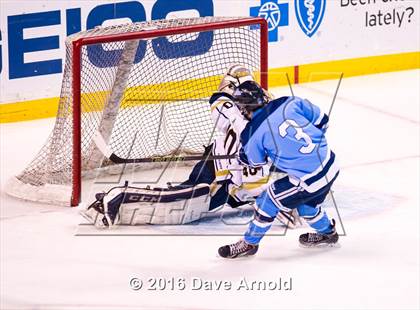 Thumbnail 1 in Franklin vs St. Mary's (MIAA Division 1 Final) photogallery.