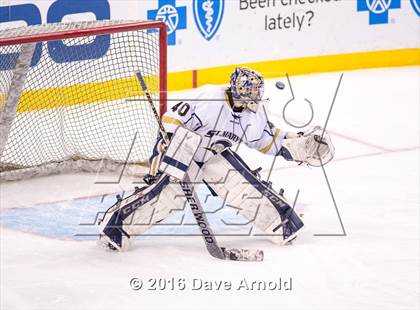 Thumbnail 1 in Franklin vs St. Mary's (MIAA Division 1 Final) photogallery.