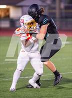 Photo from the gallery "Mount Tahoma @ Spanaway Lake"