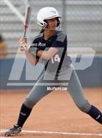 Photo from the gallery "Empire @ Ironwood Ridge"