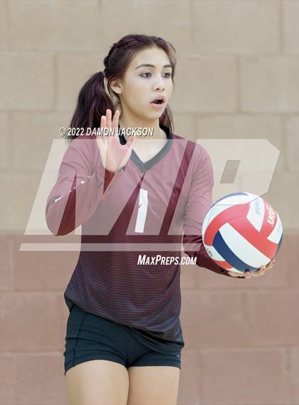 Thumbnail 2 in Pahrump @ Virgin Valley photogallery.