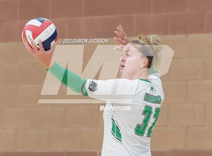 Thumbnail 3 in Pahrump @ Virgin Valley photogallery.