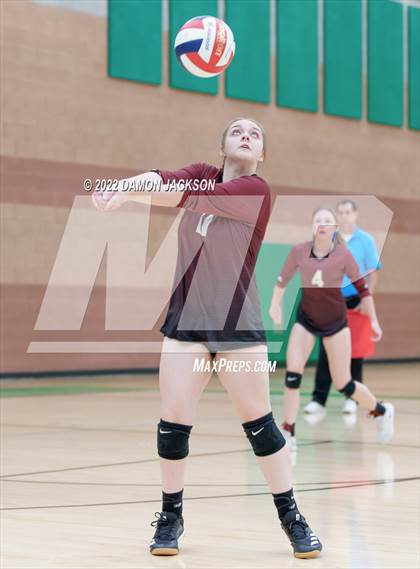 Thumbnail 1 in Pahrump @ Virgin Valley photogallery.