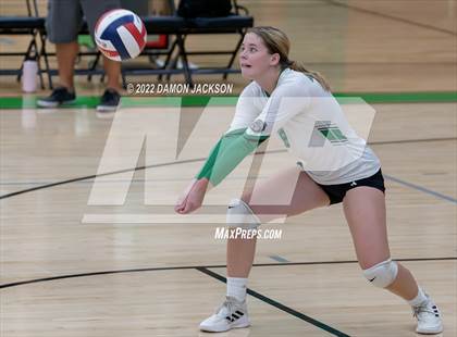Thumbnail 3 in Pahrump @ Virgin Valley photogallery.