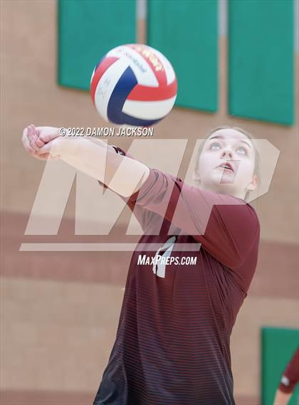 Thumbnail 2 in Pahrump @ Virgin Valley photogallery.