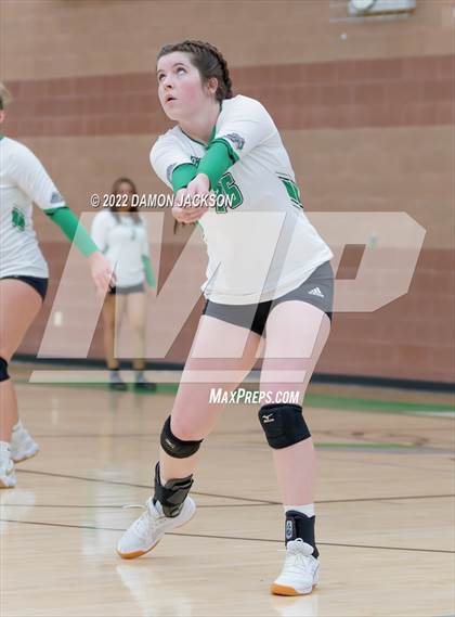 Thumbnail 3 in Pahrump @ Virgin Valley photogallery.